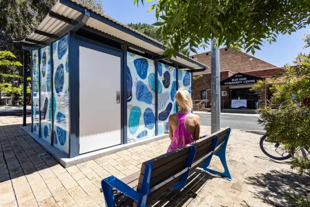 Bluegum Community Centre Public Toilet Upgrade 