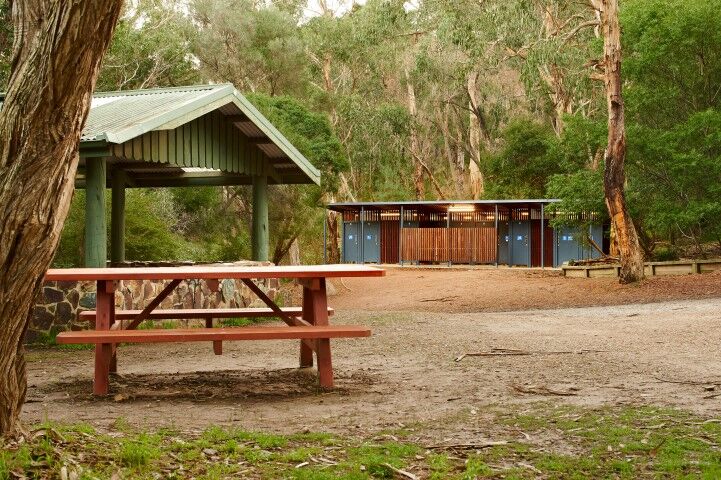 1000 Steps Walking Track project overview